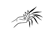 Hand Plant Growth Bundle, an Illustration by yasushie (Thumbnail 10 of 31)