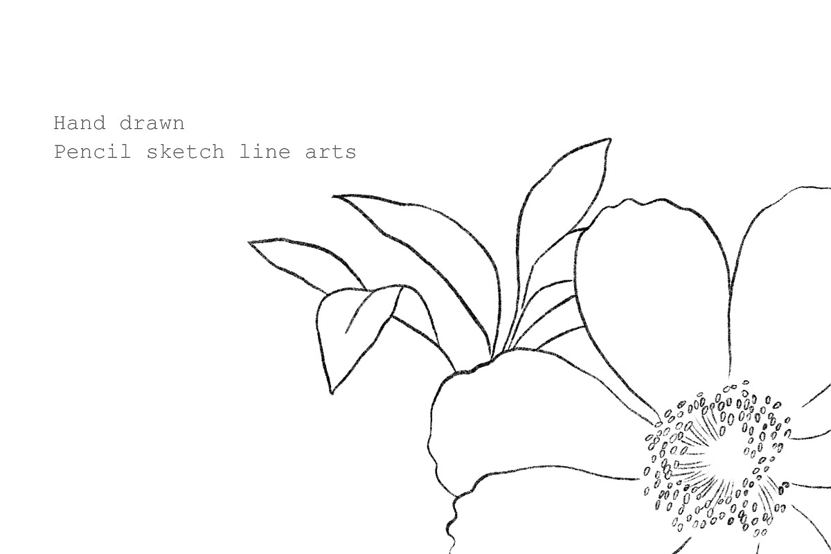 Flowers Line Arts Clipart, an Illustration by natalisart (Photo 8 of 11)
