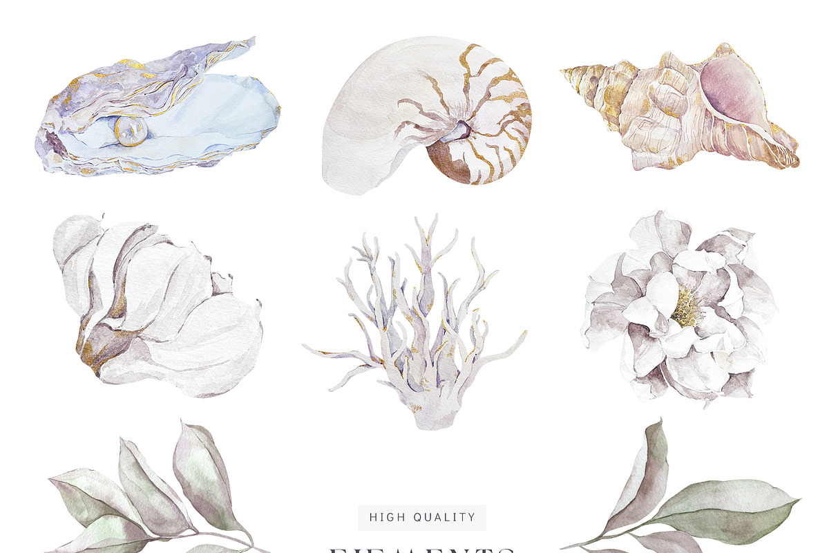 Watercolor underwater sea coral, a Decorative Illustration by MariGraphic boutique (Photo 2 of 9)