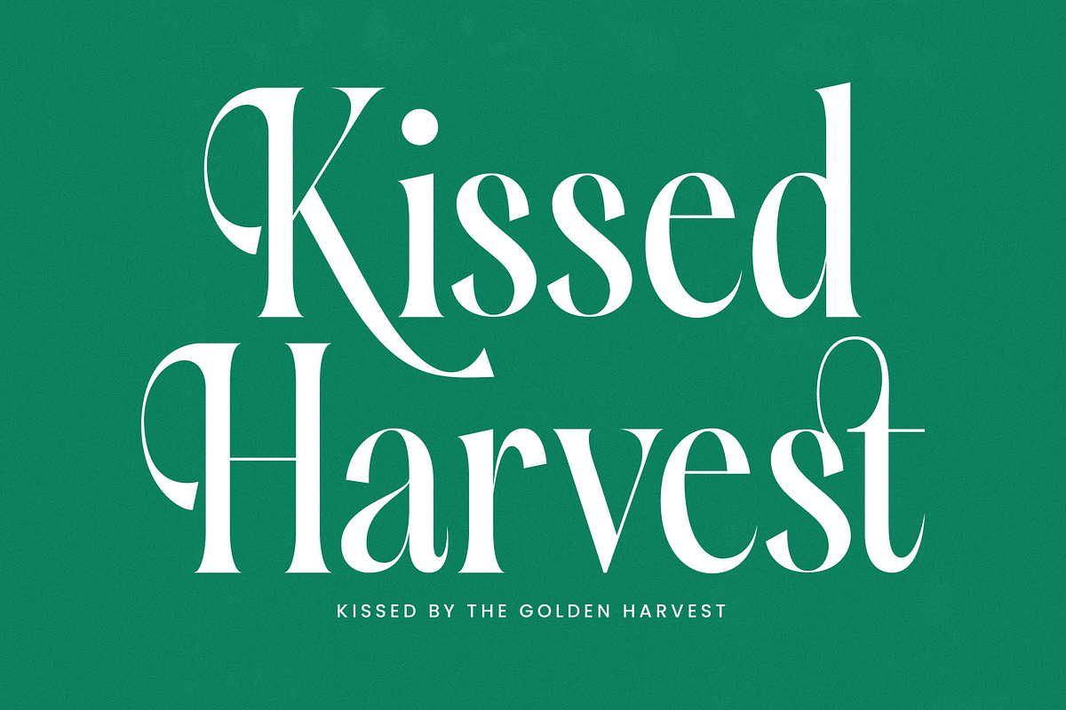 Silent Gingers Modern Serif Font, a Serif Font by timelesstype.co (Photo 8 of 20)