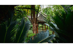 Chengdu, Sichuan, China. Garden Area, a Nature Photo by Our Amazing World