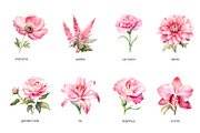 Watercolor pink wedding flowers set, an Object Illustration by Art and Funny (Thumbnail 2 of 3)