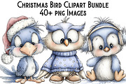 Christmas Bird Clipart Bundle, an Illustration by Pixels.Craft (Thumbnail 1 of 6)