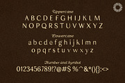 Bark & Paper Press - Heritage, a Serif Font by Setara Langit CreativeStd (Thumbnail 12 of 12)