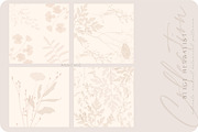 Beige botanical pattern collection, a Pattern Graphic by Anna Sokol (Thumbnail 3 of 16)