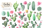 Watercolor Exotic Cactus Collection, a Texture Illustration by LarysaZabrotskaya (Thumbnail 3 of 11)