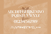 Rekom  Elegant Serif Font Typeface, a Serif Font by Perfectype (Thumbnail 10 of 10)
