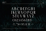 The Chrisera Stylish Serif Font, a Serif Font by Perfectype (Thumbnail 7 of 8)