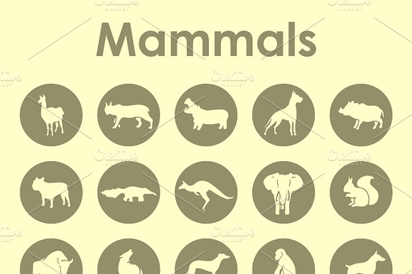 Mammals Simple Icons