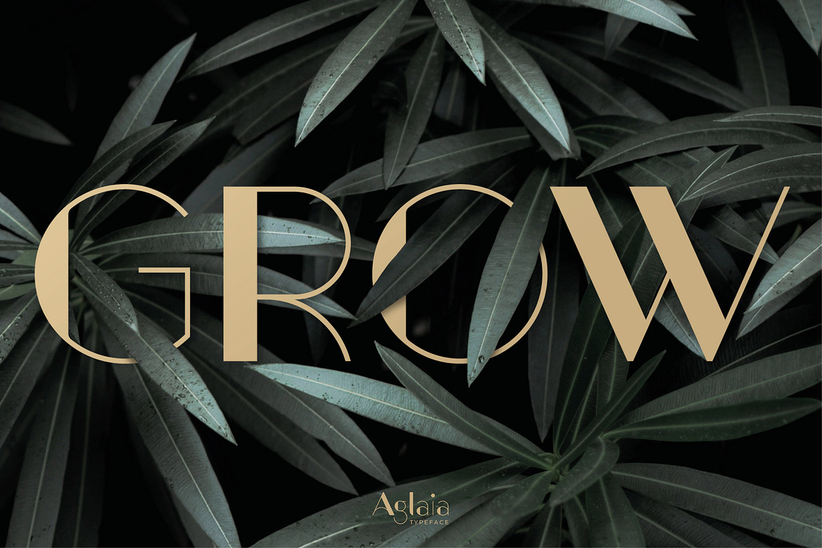 Aglaia Regular • An Elegant Font preview 2