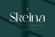 Skeina Elegant Sans Serif, a Sans Serif Font by MJtypefoundry (Thumbnail 1 of 12)