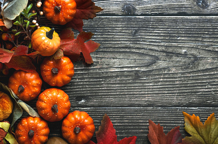 Autumn concept background, an Abstract Photo by esthermm
