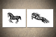 Horses Sumi-e Vol2, an Illustration by StabuLaRasa illustration (Thumbnail 4 of 9)