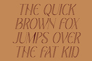 CS Belova Stippled, a Serif Font by Craft Supply Co. (Thumbnail 6 of 8)
