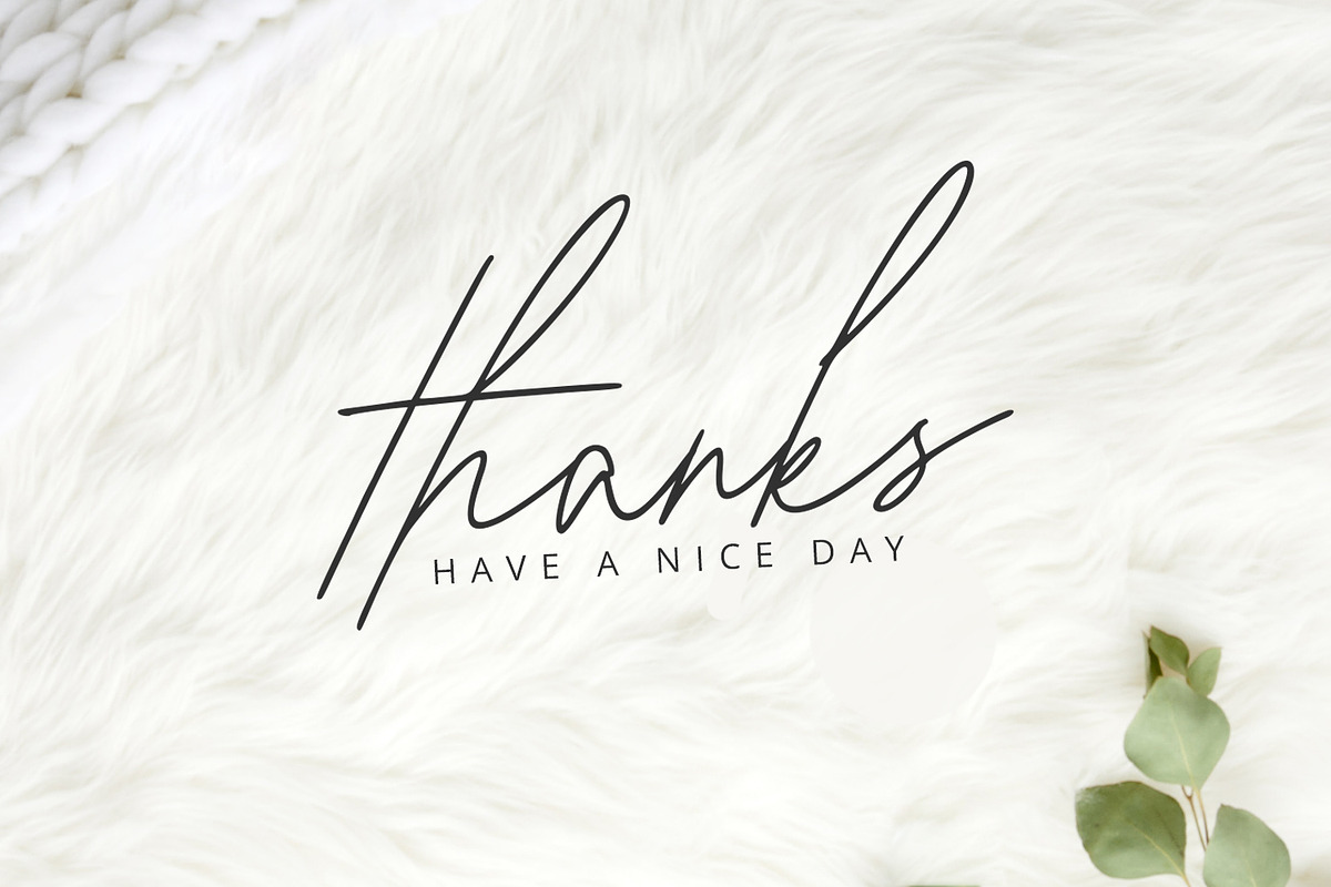 Gia Cristine -Elegant Signature Font, a Script Font by Alpaprana (Photo 9 of 9)