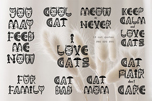 Crazy Cat Font. Cat Quotes