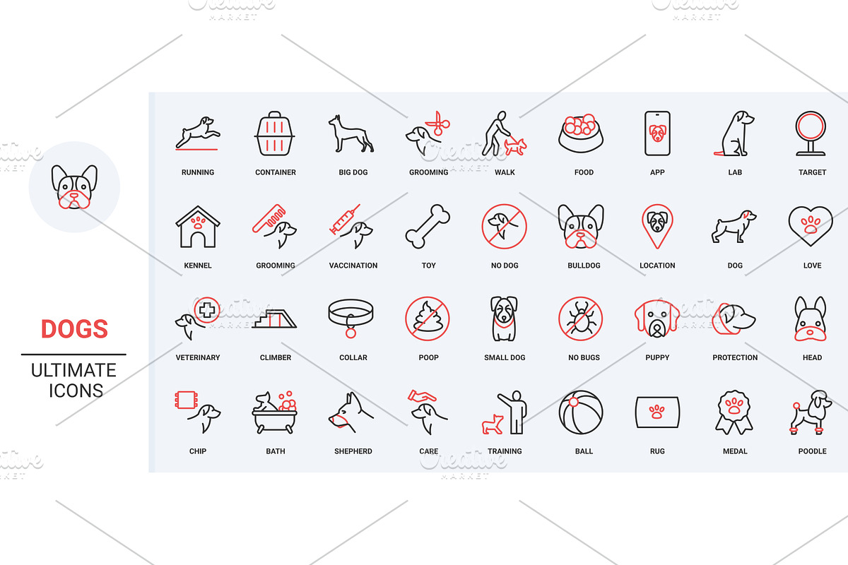Passenger traveling in modern icons, an Animal Illustration by Lemberg Vector