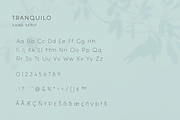 Tranquilo | Sans Serif Font, a Sans Serif Font by Vanem Studio (Thumbnail 3 of 10)