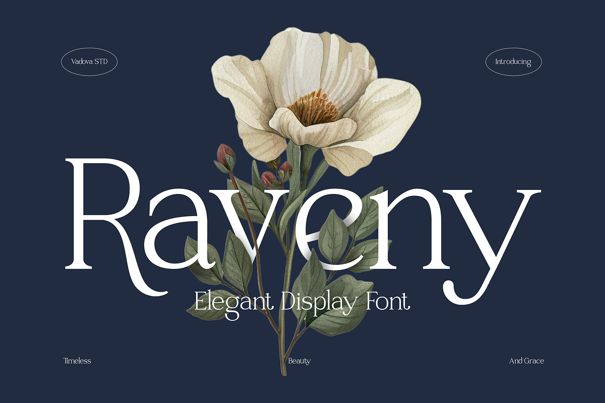 Raveny Modern Elegant Serif, a Serif Font by Vadovastd (Photo 1 of 9)