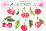Cherry Watercolor Clipart, an Illustration by BarvArt (Thumbnail 3 of 5)