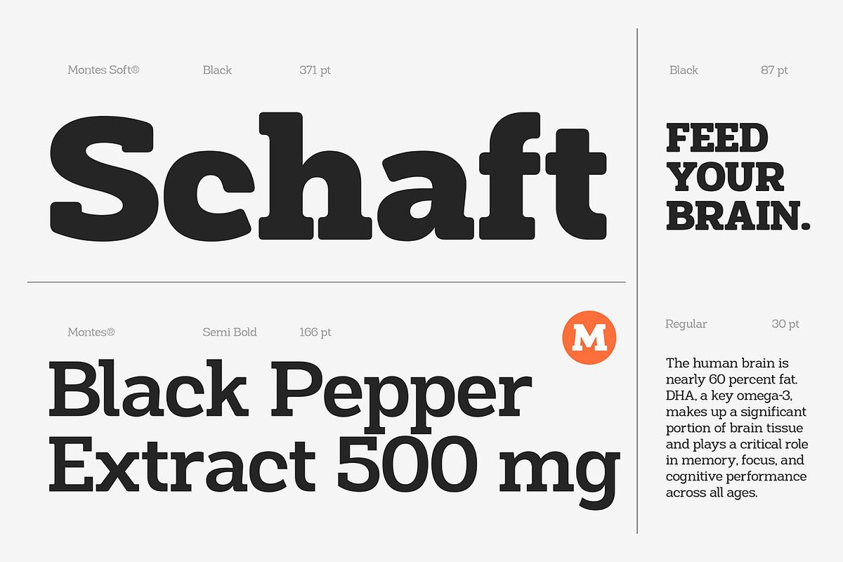Montes Slab Family, a Slab Serif Font by Fargun Studio (Photo 15 of 15)