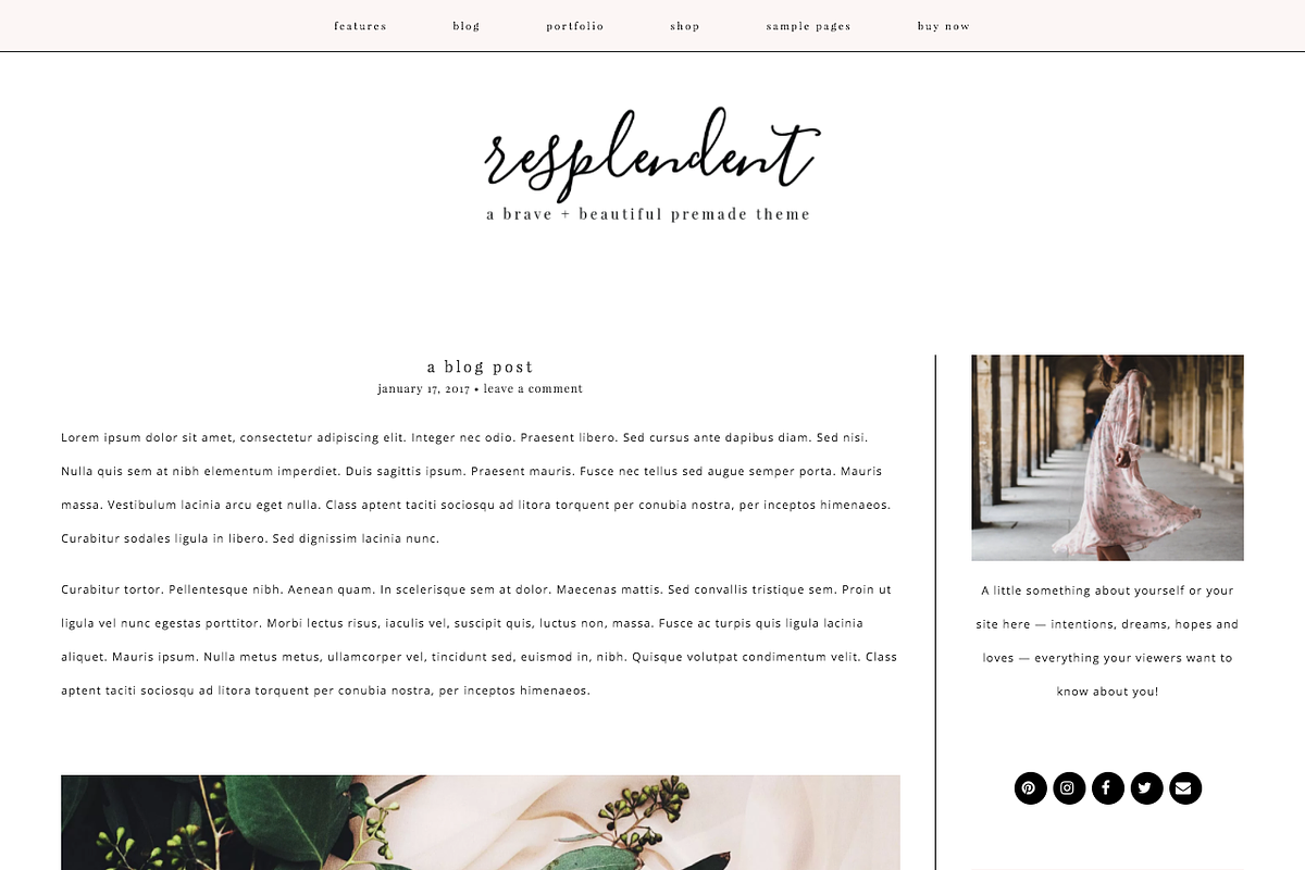 Resplendent Wordpress Theme, a WordPress Template by brave + beautiful designs (Photo 4 of 6)
