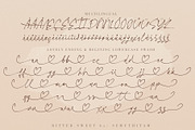 Bitter Sweet - Signature, a Handwritten Font by SemutHitam Creative (Thumbnail 10 of 12)