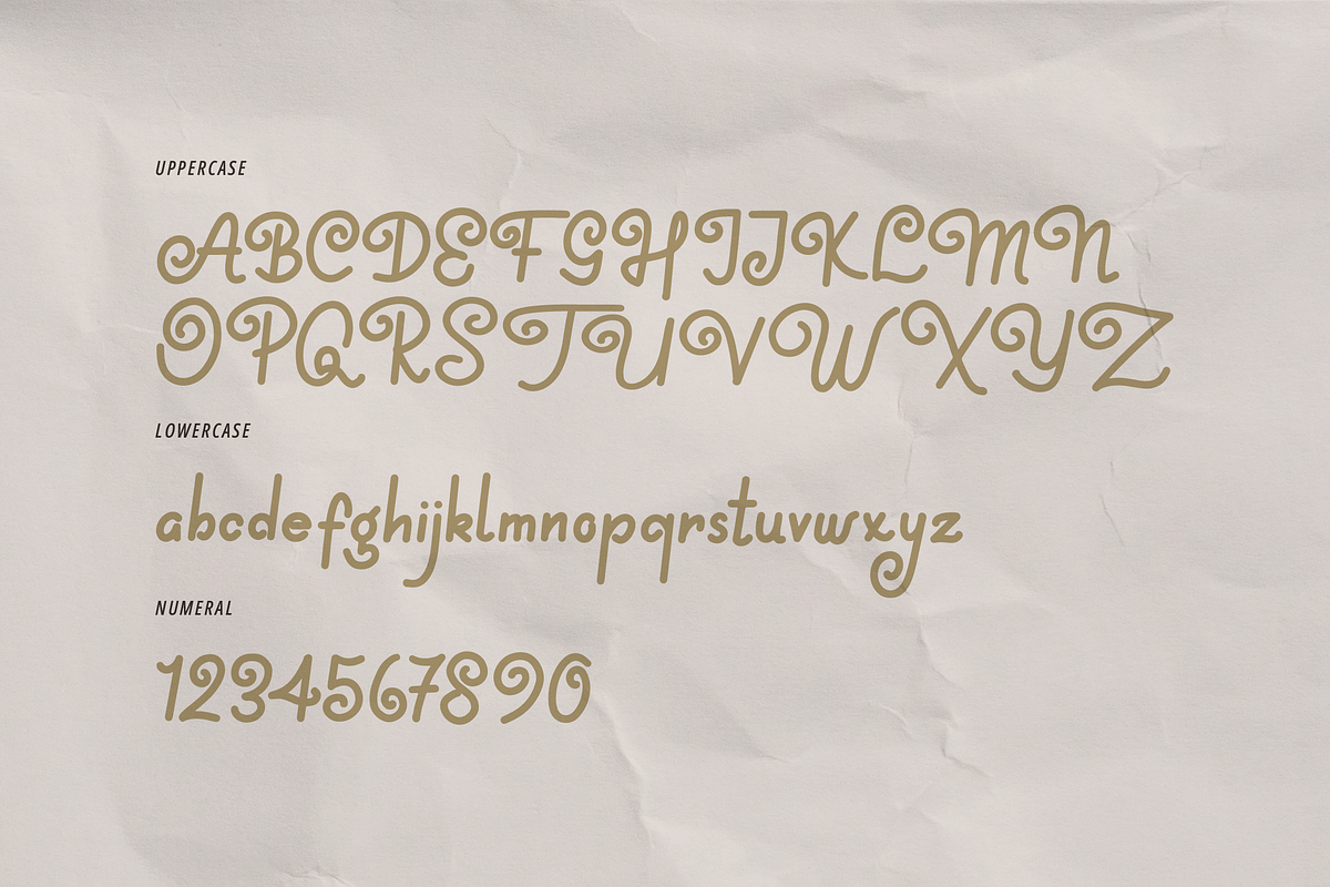 Serpai Monoline | Handwritten Font, a Handwritten Font by gracetype_studio (Photo 15 of 17)