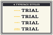 GDC Fuller Typeface, a Serif Font by GriffinDesignCompany (Thumbnail 4 of 8)