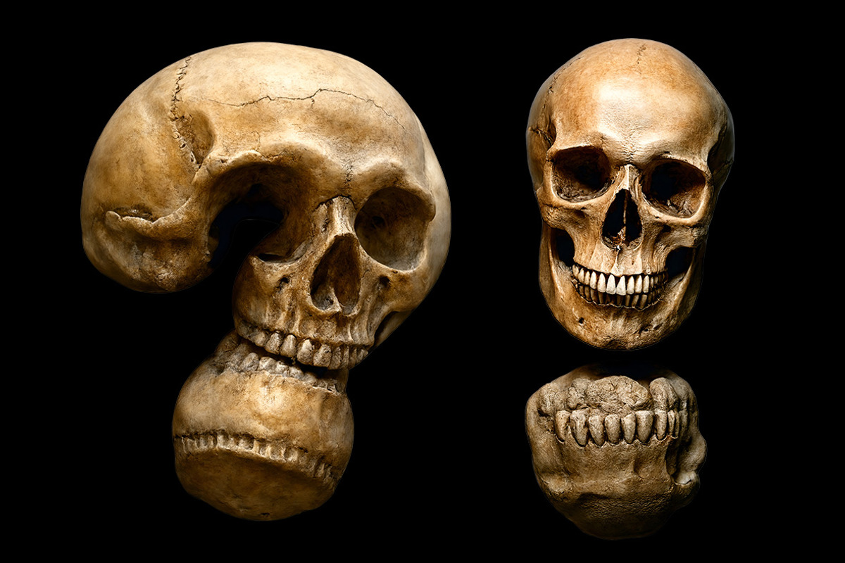Skull Font, a Handwritten Font by Handmadefont (Photo 5 of 10)