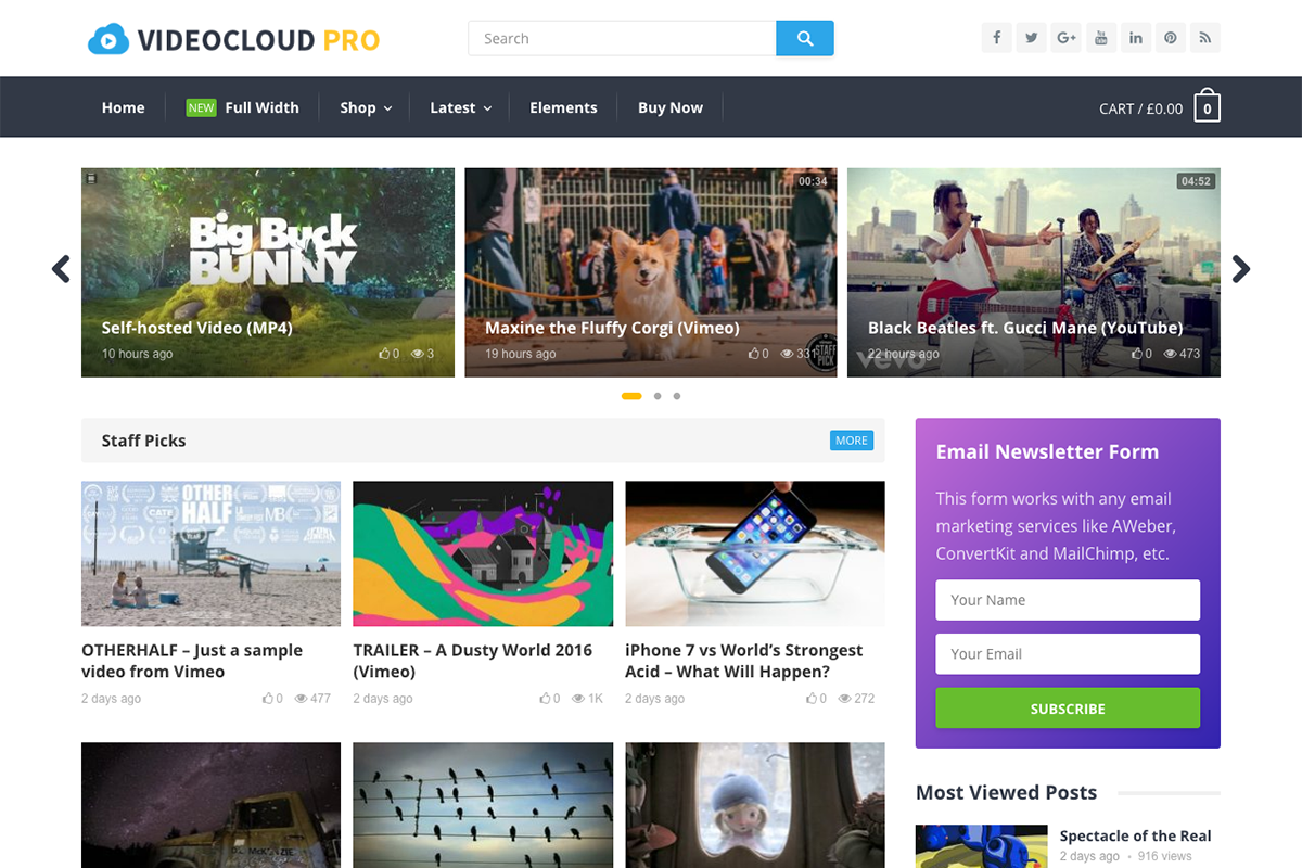 VideoCloud Pro - WP Video Theme, a WordPress Template by Happy Themes Shop