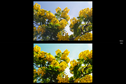Sunrise Valley | Lightroom Preset, a Plug-in Add-On by Always Here... (Thumbnail 3 of 5)