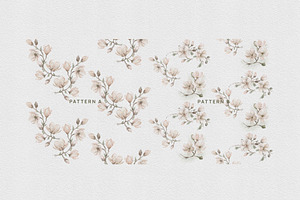 Magnolia Watercolor Collection