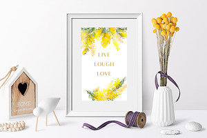 Charming Mimosa - Yellow Flowers PNG