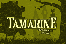 Tamarine: A Classic Cartoon Nostalgi