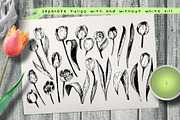 Tulips. Engraving bulb flowers, an Illustration by Alena Kaz (Thumbnail 2 of 5)