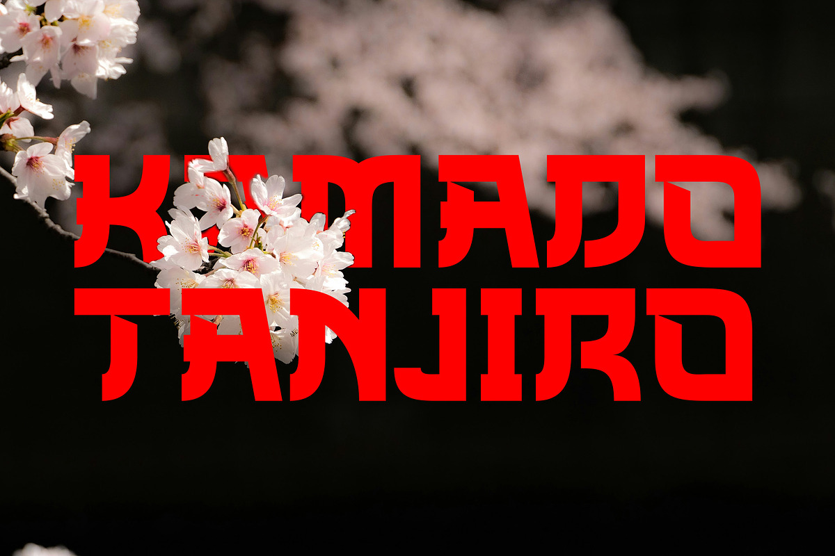 WATANABE -Japanese Style Typface, a Serif Font by AnnofaType (Photo 4 of 8)