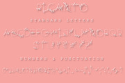 The Playful Font Bundle, a Script Font by Digital Hustler (Thumbnail 22 of 37)