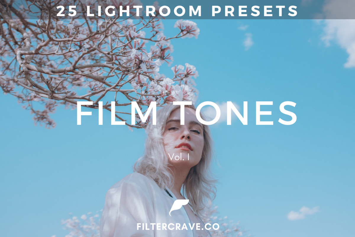 25 Film Tone Lightroom Presets I