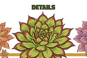 Succulent Illustration Pack, an Illustration by Tekuni (Thumbnail 9 of 13)