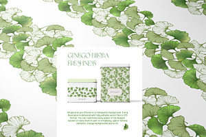 Ginkgo Biloba Freshness