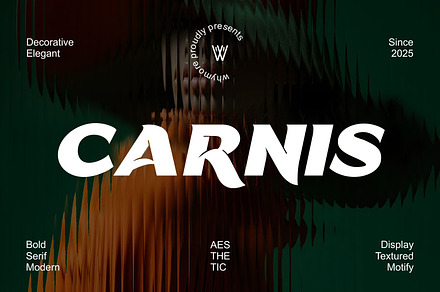 CARNIS Font - Bold Decorative Sans, a Slab Serif Font by WhymoreArt