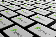 Modern Gradient BirdLeaf Logo Design, a Branding & Logo Template by Artnivora.Std (Thumbnail 5 of 5)