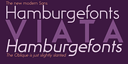 Viata, a Sans Serif Font by Wiescher-Design (Thumbnail 2 of 6)
