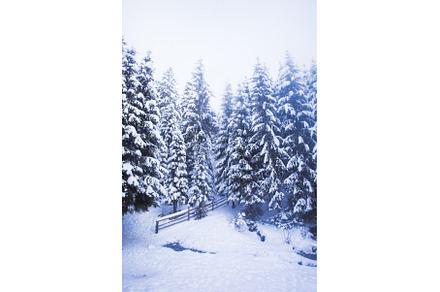 Winter in the mountains and, a Nature Photo by oksix