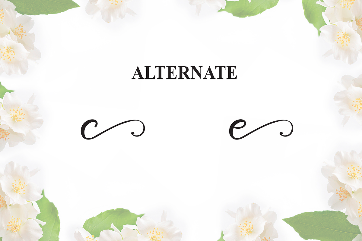 Jasmine | Script Font, a Handwritten Font by Scratchones (Photo 8 of 9)