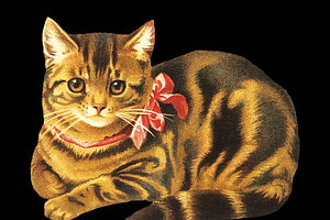 Vintage Cat Painting