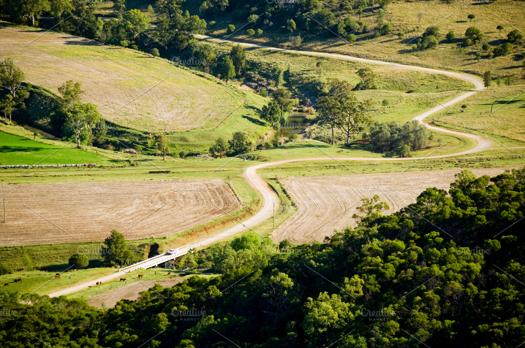 Winding Counry Lane, a Nature Photo by THP Creative