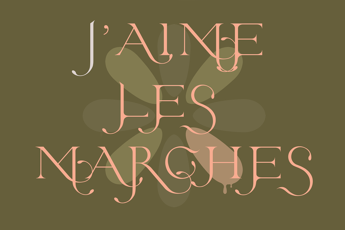 St.Germain. Beautiful serif font, a Serif Font by LostandFoundry (Photo 6 of 7)