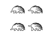 Echidna Logo, a Graphic by NataliiaVolyk (Thumbnail 2 of 6)